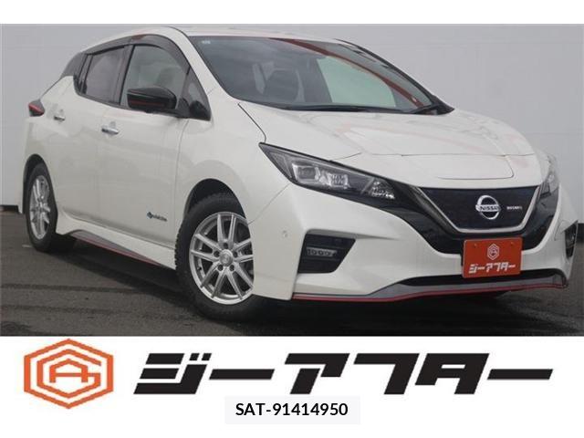 Nissan LEAF 2019-01 8100040-0