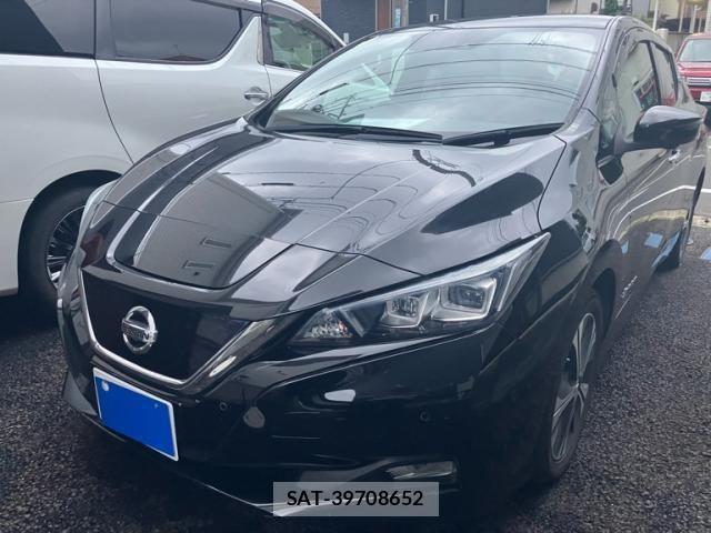 Nissan LEAF 2019-02 8100051-0