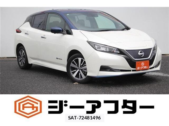Nissan LEAF 2021-03 8100039-0