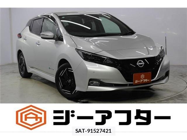 Nissan LEAF 2022-12 8100035-0