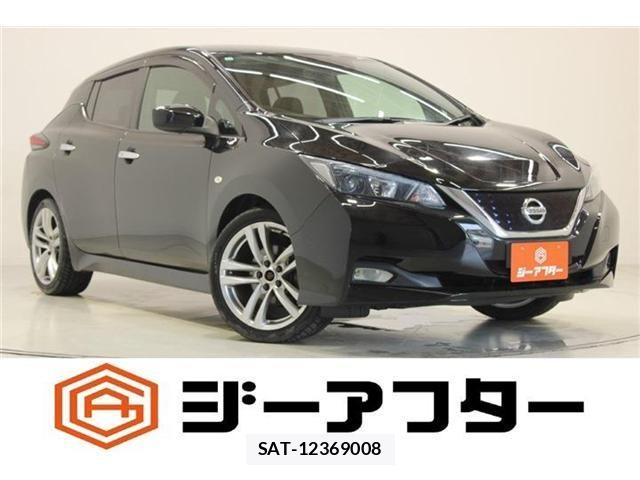 Nissan LEAF 2017-12 8130947-0