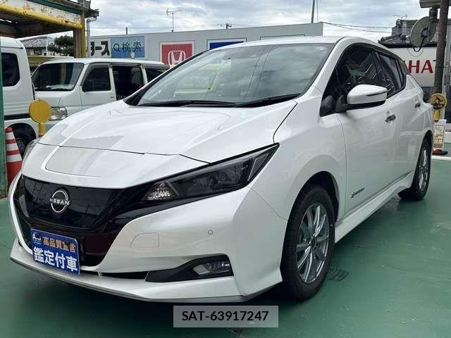 Nissan LEAF 2024-05 8130935-2