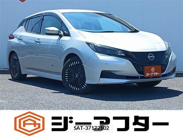 Nissan LEAF 2022-06 8130941-0