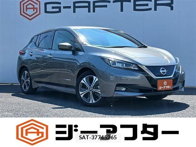Nissan LEAF 2020-02 8130949-0