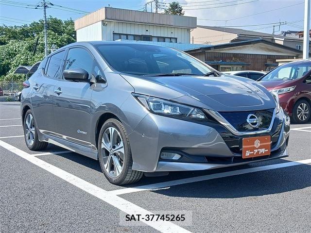 Nissan LEAF 2020-02 8130949-19