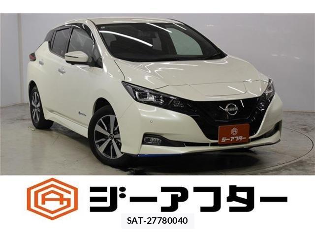 Nissan LEAF 2022-01 8146039-0