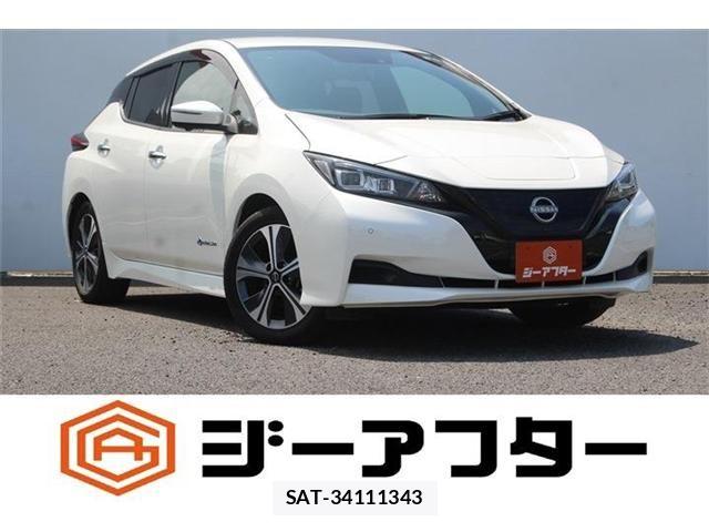Nissan LEAF 2022-03 8146040-0