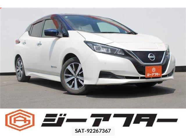 Nissan LEAF 2020-02 8208261-0