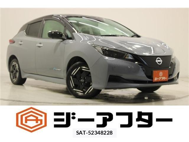 Nissan LEAF 2022-06 8208256-0