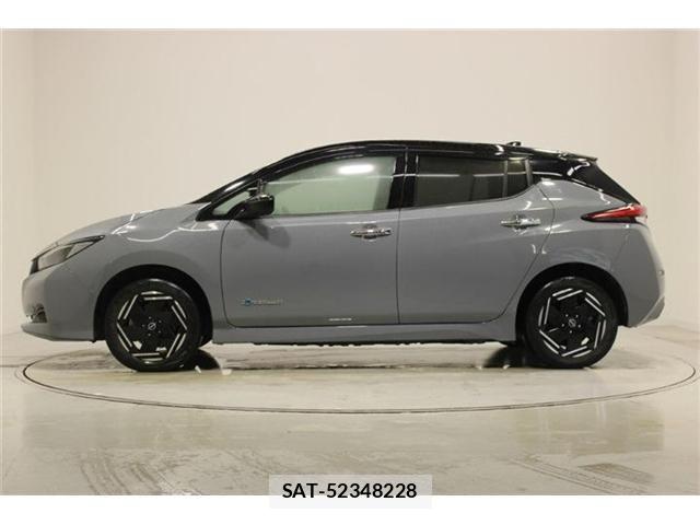 Nissan LEAF 2022-06 8208256-9