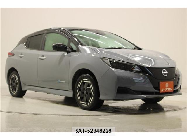 Nissan LEAF 2022-06 8208256-6