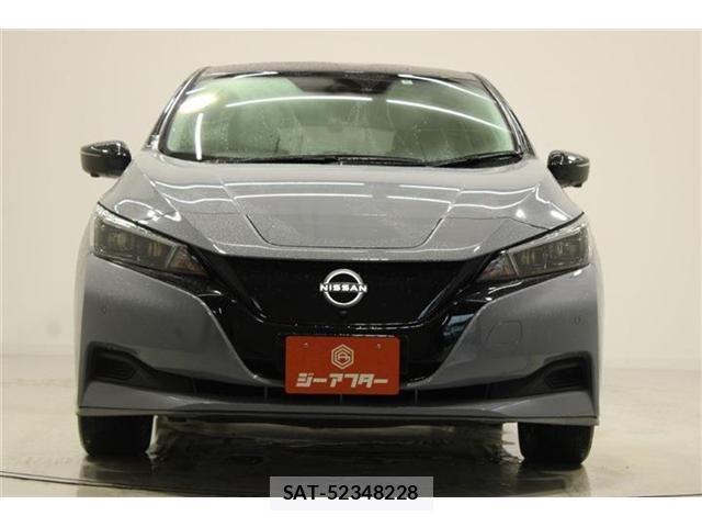Nissan LEAF 2022-06 8208256-7