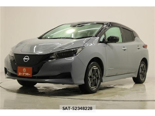 Nissan LEAF 2022-06 8208256-8