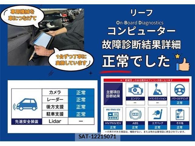 Nissan LEAF 2021-08 8208258-1