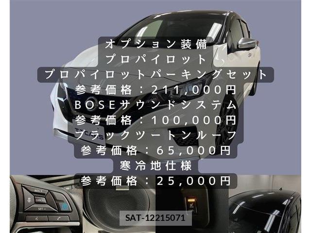 Nissan LEAF 2021-08 8208258-4