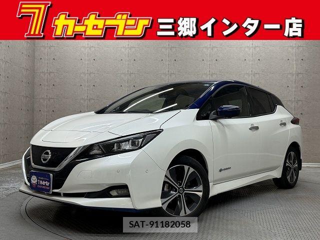 Nissan LEAF 2021-04 8208255-0