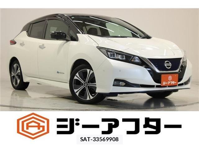 Nissan LEAF 2019-05 8230566-0