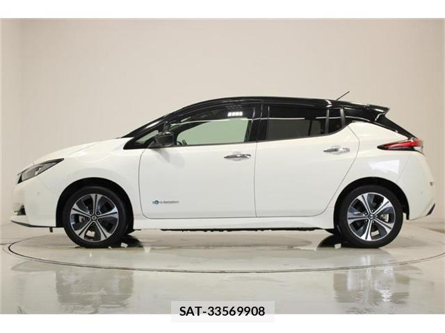 Nissan LEAF 2019-05 8230566-9