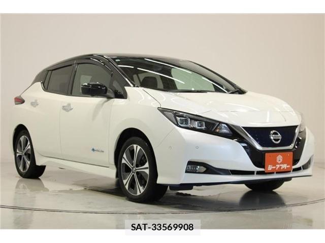 Nissan LEAF 2019-05 8230566-6