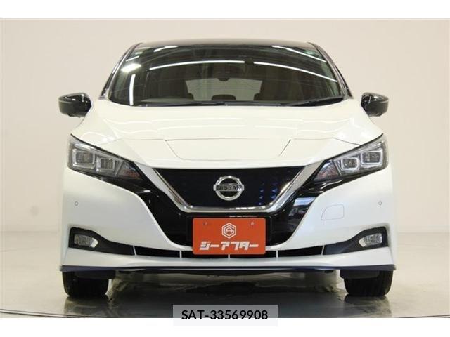 Nissan LEAF 2019-05 8230566-7