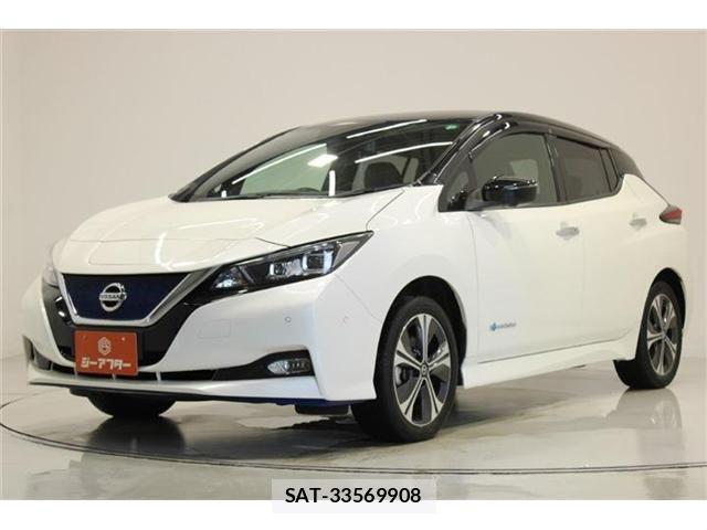 Nissan LEAF 2019-05 8230566-8