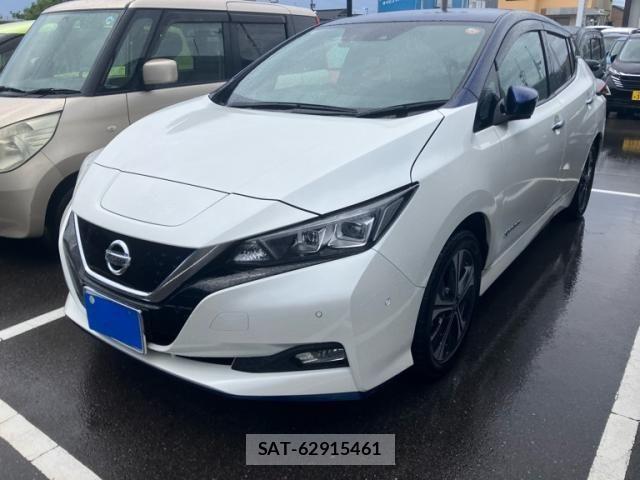 Nissan LEAF 2019-01 8230567-0