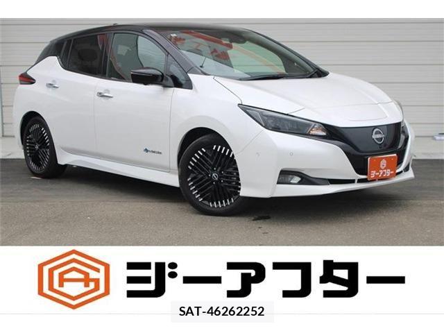 Nissan LEAF 2022-06 8245655-0