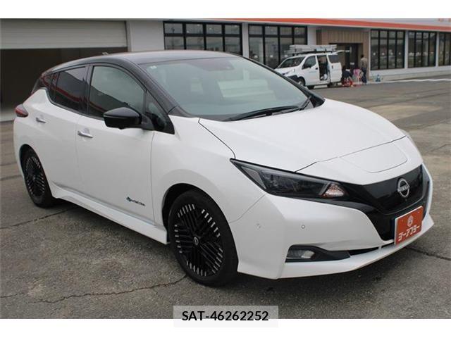 Nissan LEAF 2022-06 8245655-7