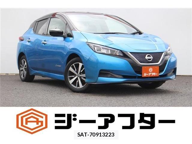 Nissan LEAF 2020-10 8245656-0