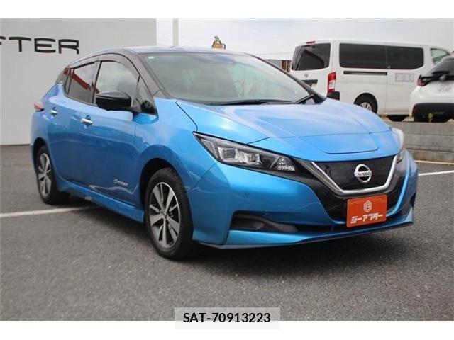 Nissan LEAF 2020-10 8245656-6