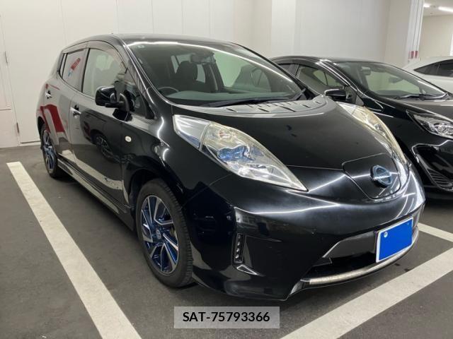 Nissan LEAF 2014-02 8315104-2