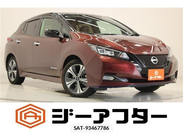 Nissan LEAF 2021-08 8315092-0
