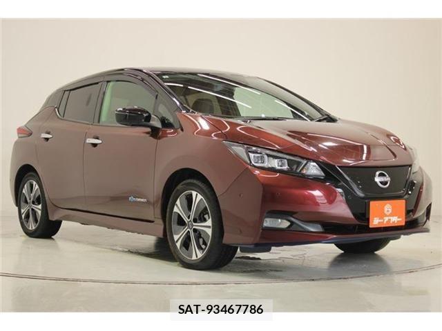 Nissan LEAF 2021-08 8315092-6