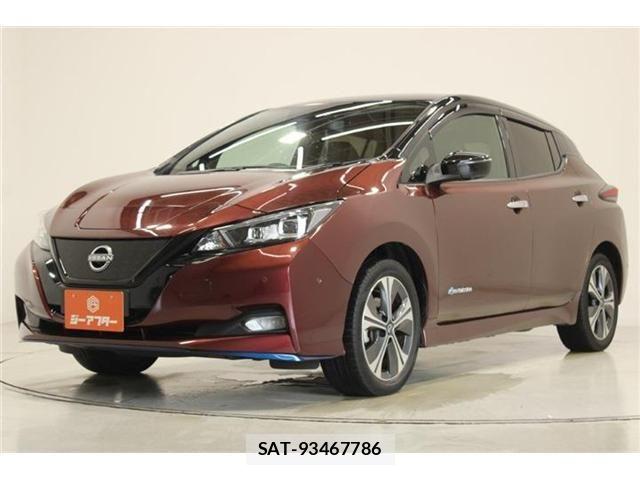 Nissan LEAF 2021-08 8315092-8