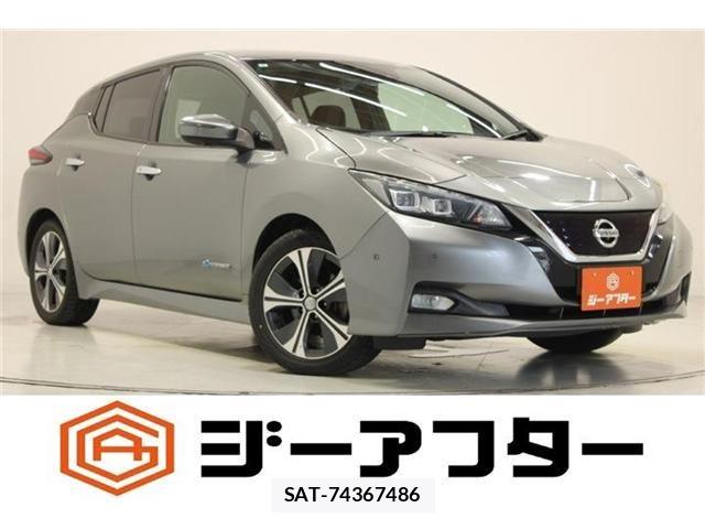 Nissan LEAF 2018-02 8315098-0