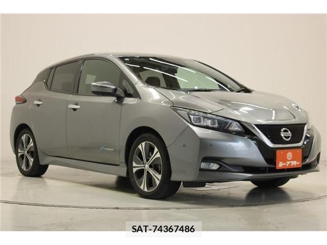 Nissan LEAF 2018-02 8315098-6