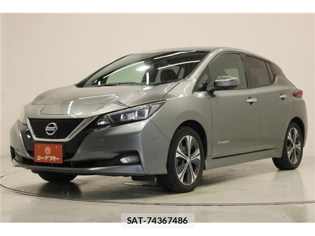 Nissan LEAF 2018-02 8315098-8