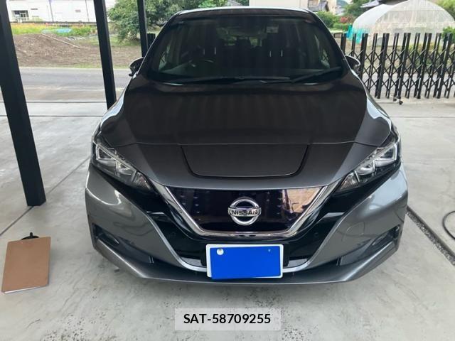 Nissan LEAF 2018-11 8315102-1