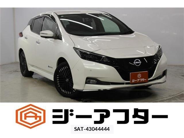 Nissan LEAF 2022-11 8315093-0