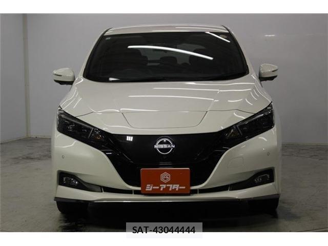 Nissan LEAF 2022-11 8315093-2