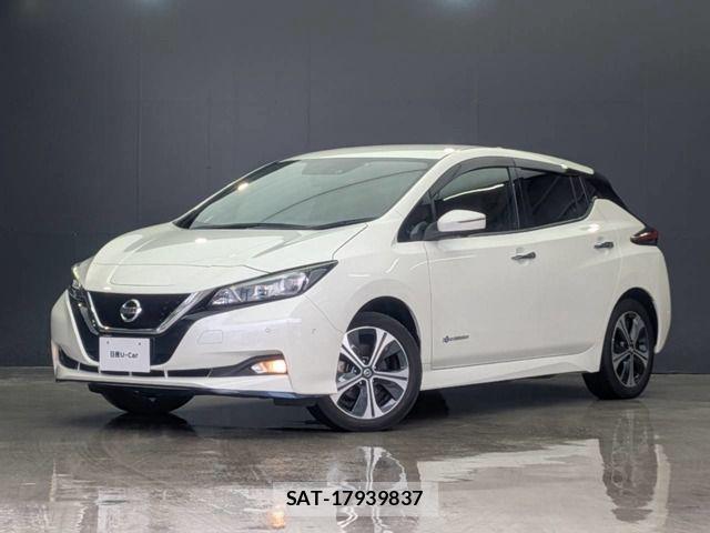 Nissan LEAF 2021-03 8315091-0