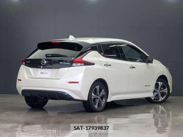 Nissan LEAF 2021-03 8315091-1