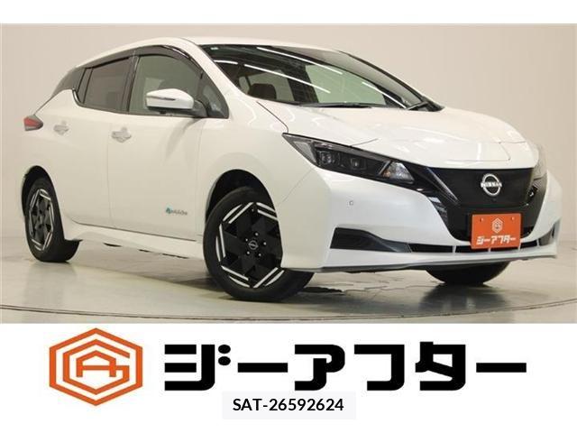 Nissan LEAF 2022-06 8315095-0
