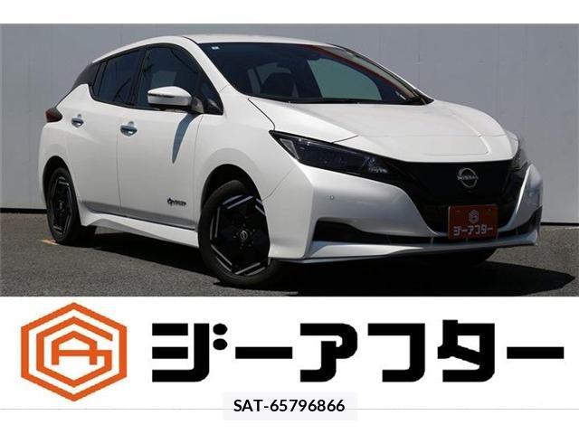 Nissan LEAF 2022-07 8336483-0