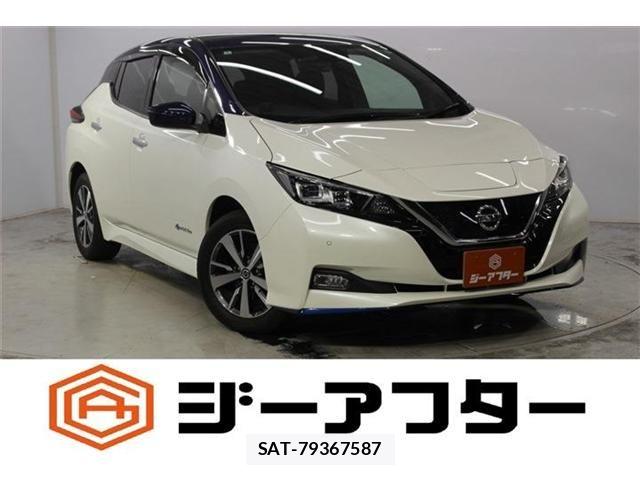 Nissan LEAF 2020-03 8336484-0
