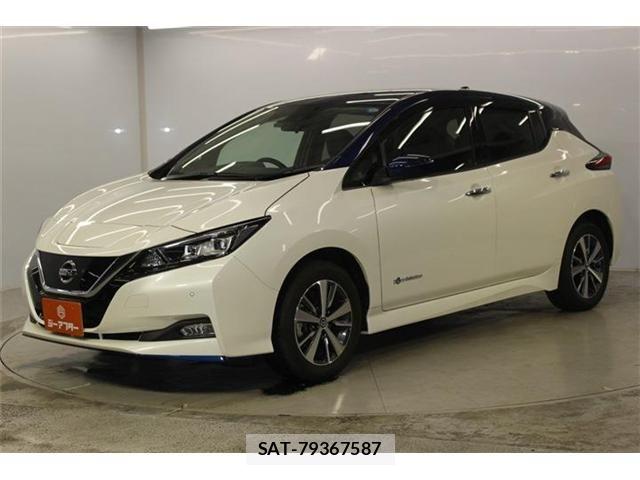 Nissan LEAF 2020-03 8336484-9