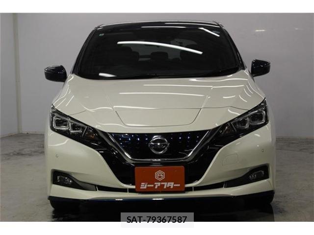 Nissan LEAF 2020-03 8336484-2