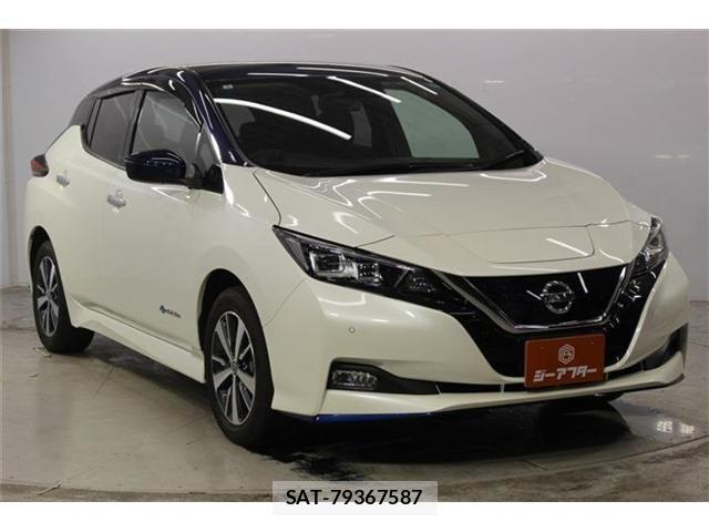 Nissan LEAF 2020-03 8336484-3