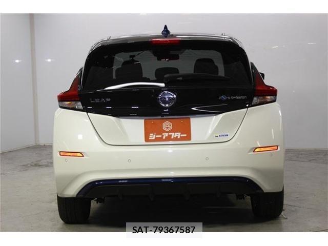 Nissan LEAF 2020-03 8336484-6