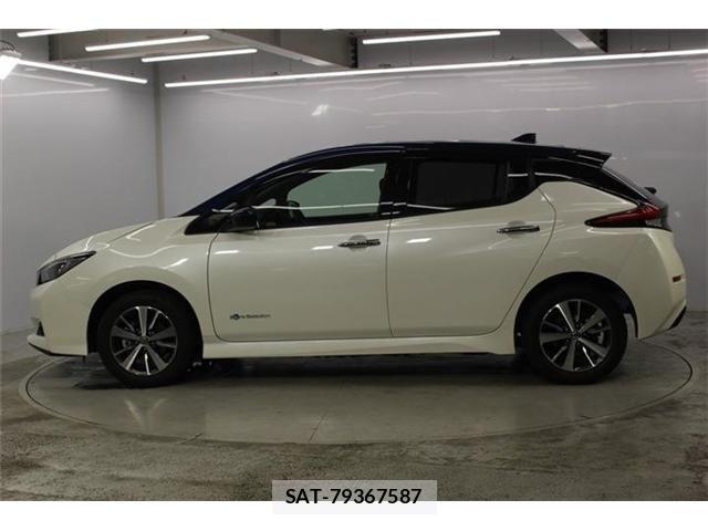 Nissan LEAF 2020-03 8336484-8